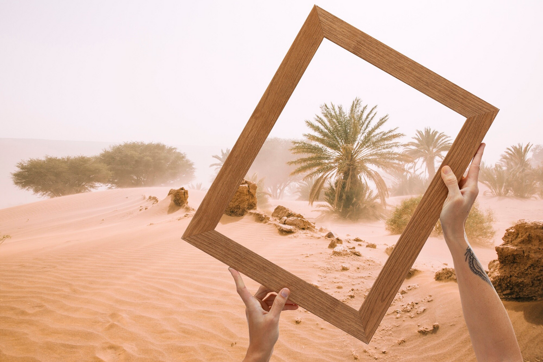 A Journey Through the Modern Middle East
